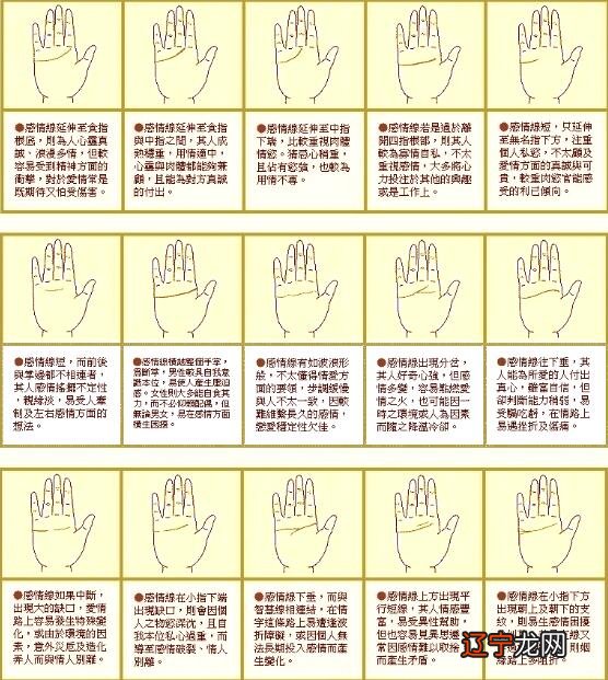 从手型看运势_观手——从“手”看健康_免费八字看2017年运势