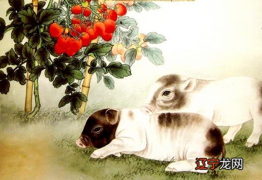 组图 属猪的生肖猪的性格是怎样的吗的?