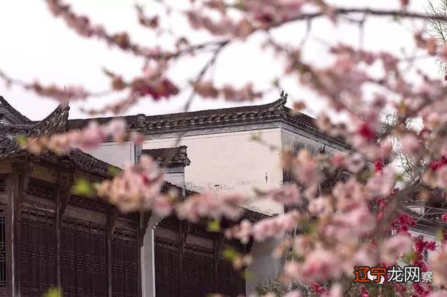 黟县“古徽州里寻年味黟县过大年”五鼠耀新春活动在西递正式拉开帷幕