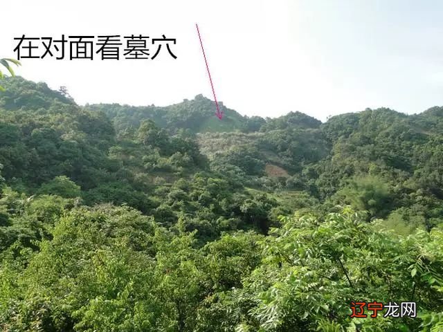 你的农历生日是哪天?注定了你是什么样的人!