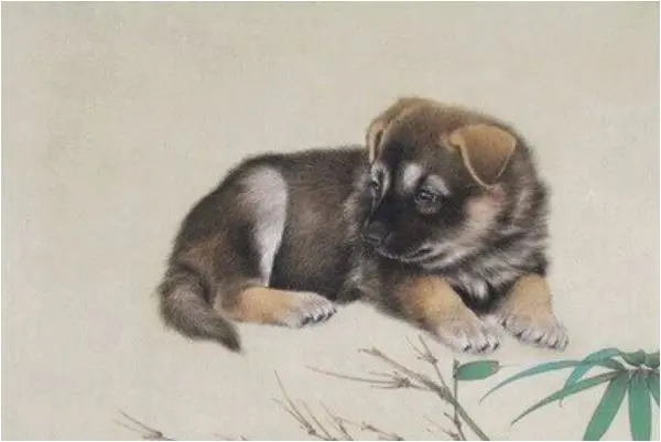 属狗人2021年全年运势及每月运程朋友进入2021年出