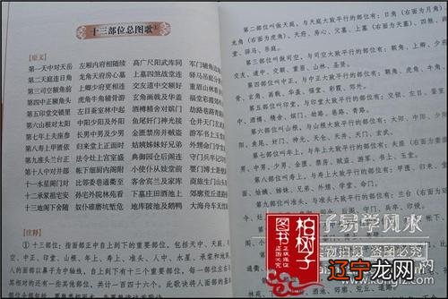 女人双手有通天纹好吗?_有通天纹的女人罕见_手掌有冲天纹女人