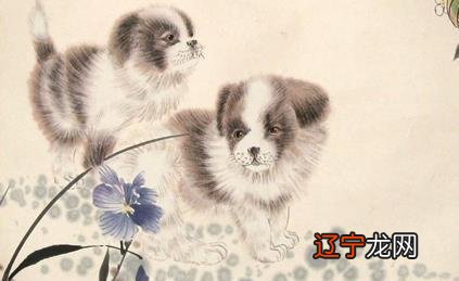 82年生属什么生肖_1972年2月5日生属什么生肖_1999年属什么生肖属相属什么