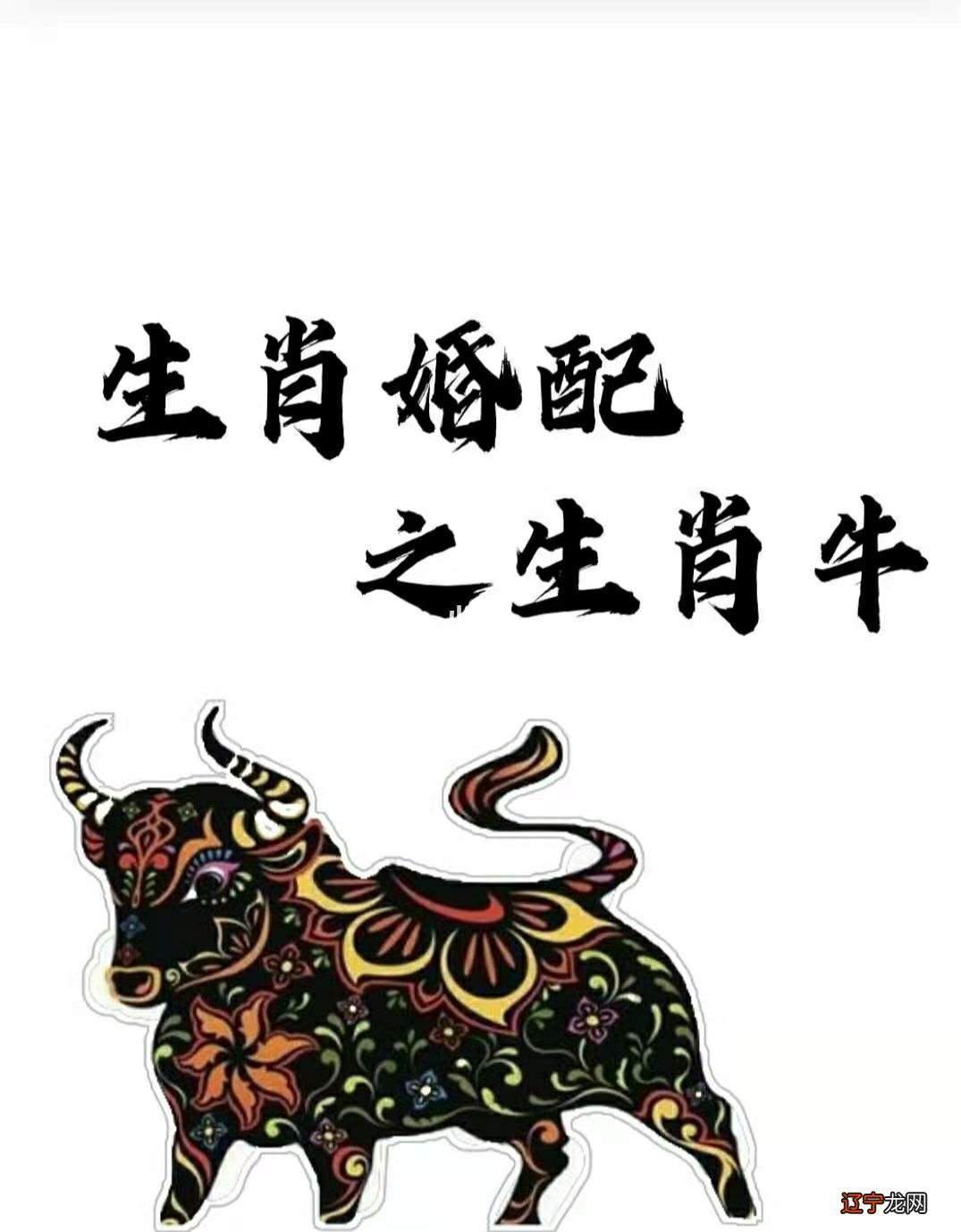 喂,??85年是属牛的!男女属牛的属相婚配表