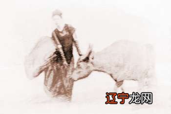 喂,??85年是属牛的!男女属牛的属相婚配表