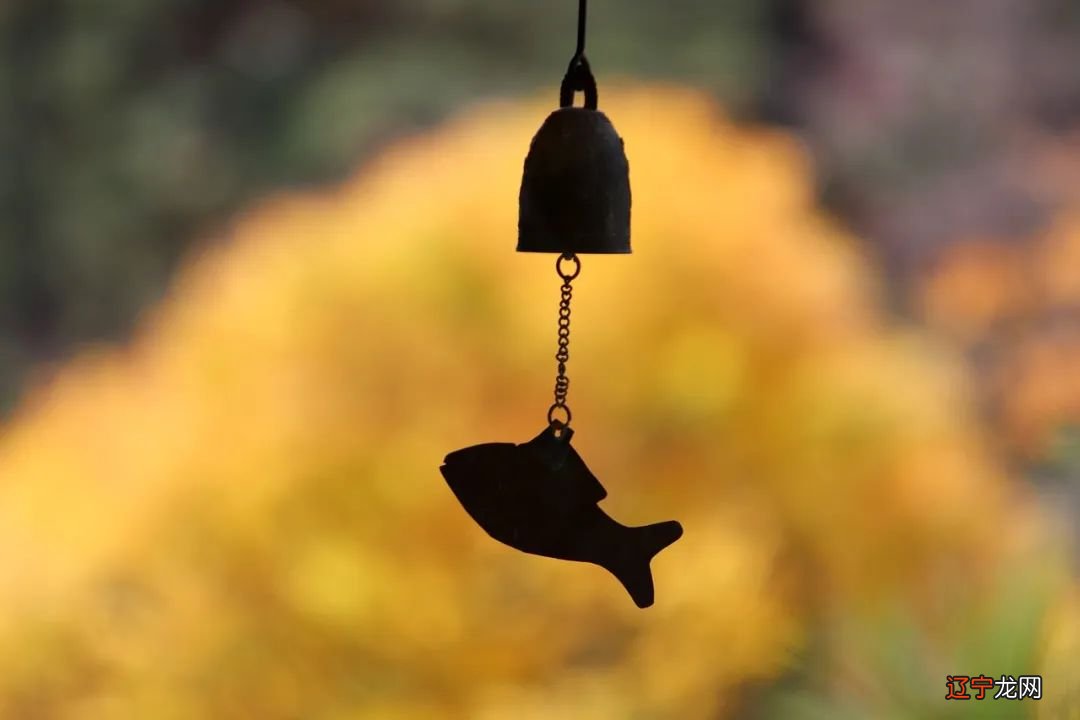 、蛊卦?随以、、九五、为主。