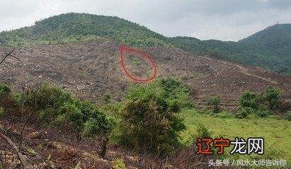 慈世堂:公墓风水中的就是阴宅