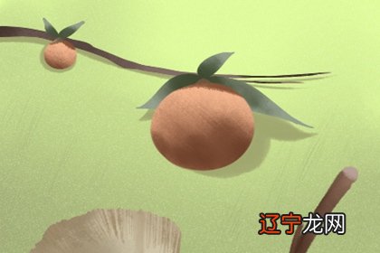 属什么生肖1-19年,9岁开始属马。