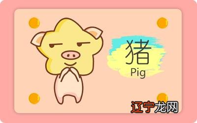 属什么生肖1-19年,9岁开始属马。