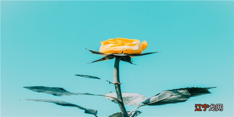 一 风水堂:六合、三合局以及三会局