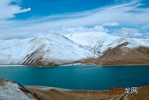 预示什么？梦见虫子从手里钻出的好坏含义，周公解梦大全