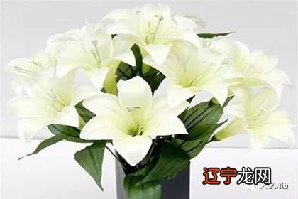 家里放假花好不好？有什么风水禁忌？你知道吗？