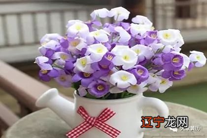 家里放假花好不好？有什么风水禁忌？你知道吗？