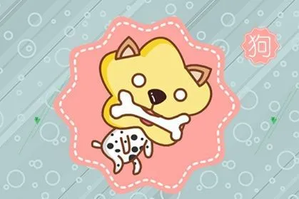 82年生属什么生肖_sitewww.zhouyi.cc 1971年属什么生肖属_1974年属什么生肖属