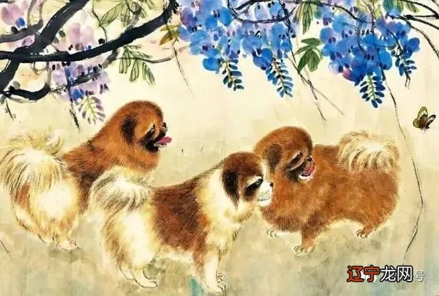 1974年属什么生肖属_sitewww.zhouyi.cc 1971年属什么生肖属_82年生属什么生肖