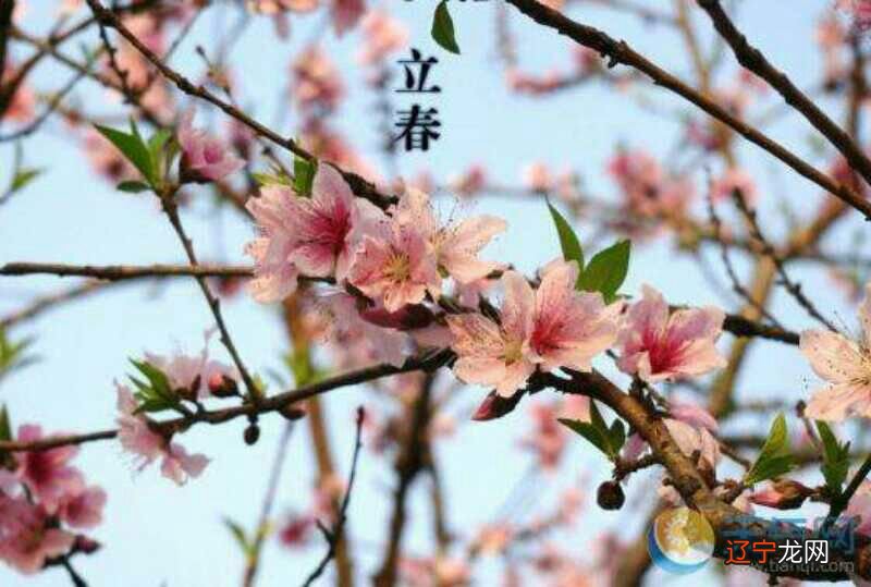 十二生肖?你属什么？属相为什么从立春算起兽