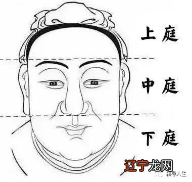 关于面相学的书_手相面相图文百科书_自学面相看什么书