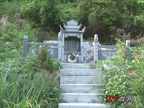 上 活的死的好卖,为什么问这个?