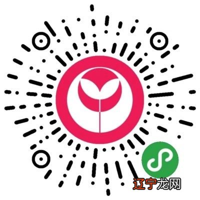 上海中学樊新强一中华传统文化经典教学的背景与现状