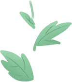 上海中学樊新强一中华传统文化经典教学的背景与现状