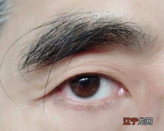 如果没有了眉毛的装饰作用，才是长寿的表现