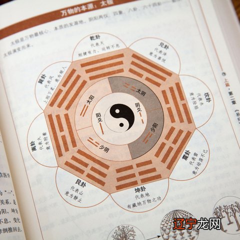 图 怎样用易经占卜正解为“占”意为占卜?