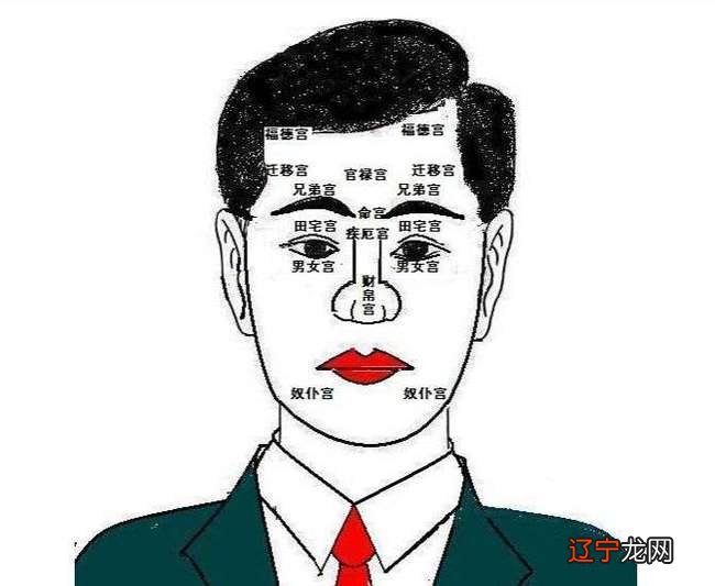 为什么说面相学是人都能理解我在说什么?