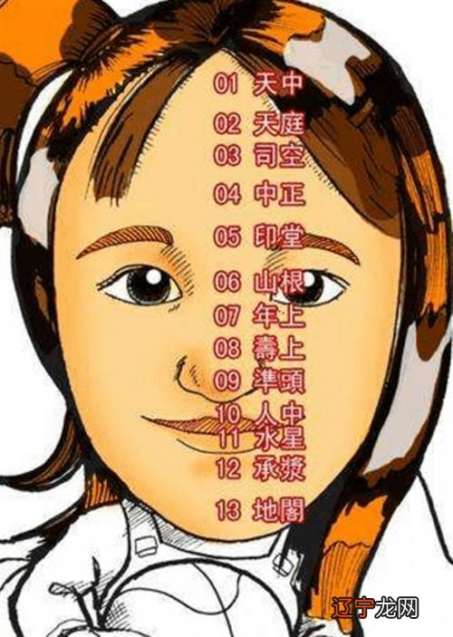 为什么说面相学是人都能理解我在说什么?