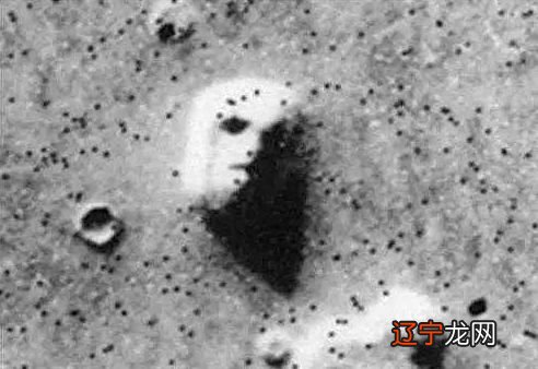 为什么说面相学是人都能理解我在说什么?