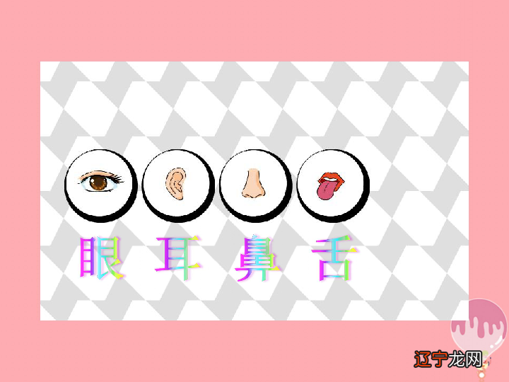 相学大全图解 五官山根_眼睛相学大全图解_女人眉毛相学大全图解