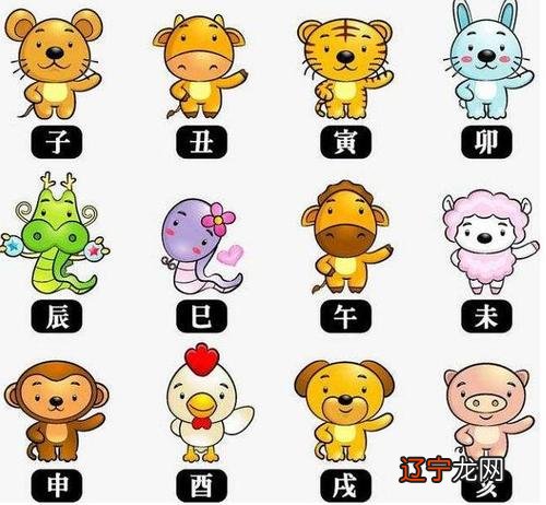 图 算命是怎么一回事科学怎么解释八字算命