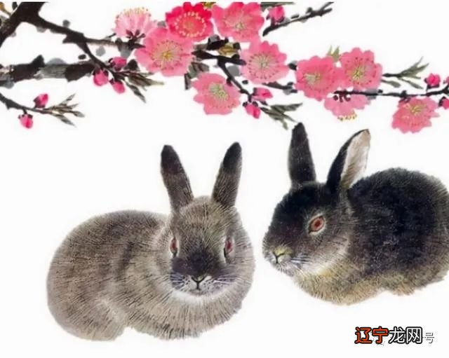 生命密码看一生运势_出生年月日时间看运势_兔人出生日期看一生运势