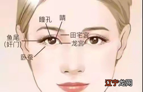 八字命理如何看婚姻运如何？感情婚姻不顺怎么办？