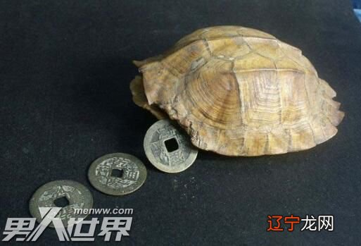 《史记·龟策列传》种种占卜算卦的案例来看