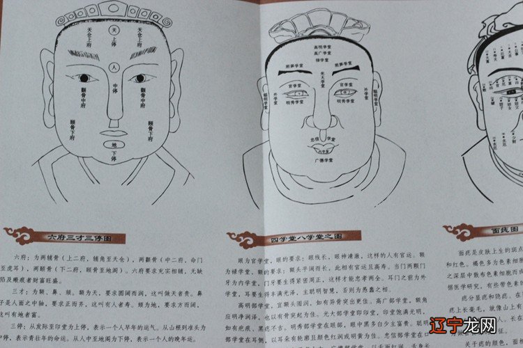 读书|吐纳 中国玄学五术:山,医(经络|导引|方剂)