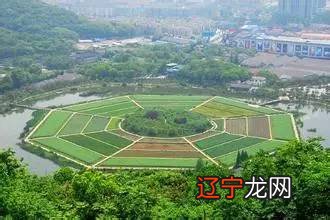 中国传统文化与多元文化、学术、修行、生活给予修行路上更多的启示