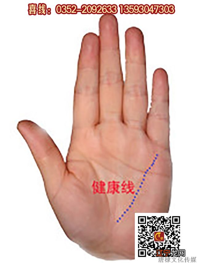 手相怎么看从手指长相看命运之小拇指面相手相,古易方星座