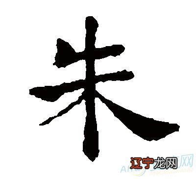 怎么取一个霸气的朱姓男孩名字取名技巧大家跟着一起分析