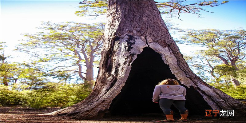 十二生肖时辰对照表子鼠下午十一时至夜夜一时至三时