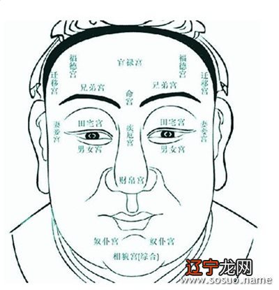 8月3号是什么星座?天蝎座真的见真情!