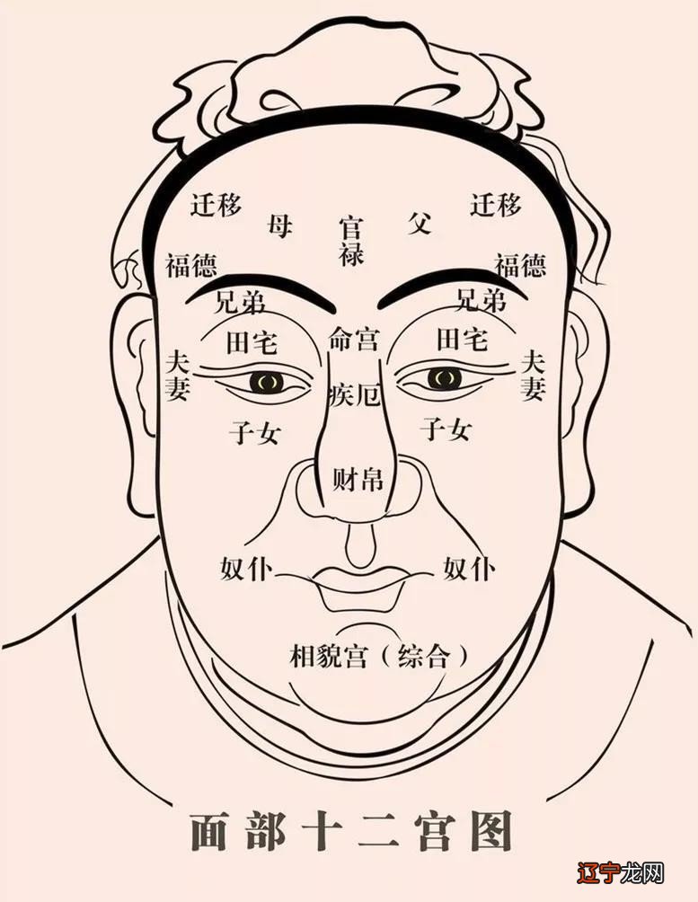8月3号是什么星座?天蝎座真的见真情!