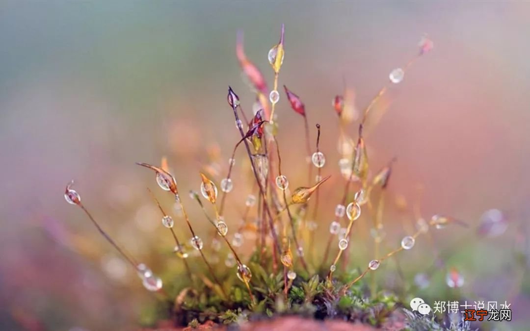 【李向东】寒露是二十四节气中的第十七个中第几个节气?