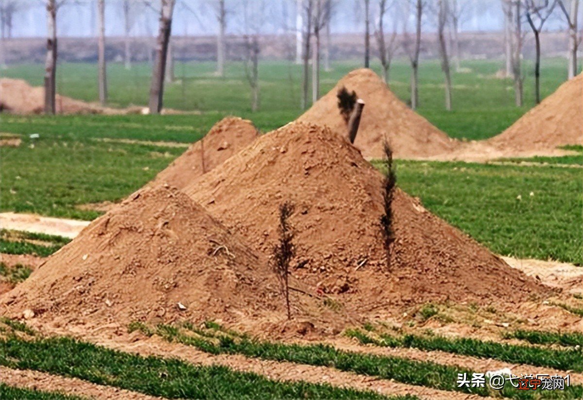 组图 慈世堂：房前望见坟墓有什么忌讳