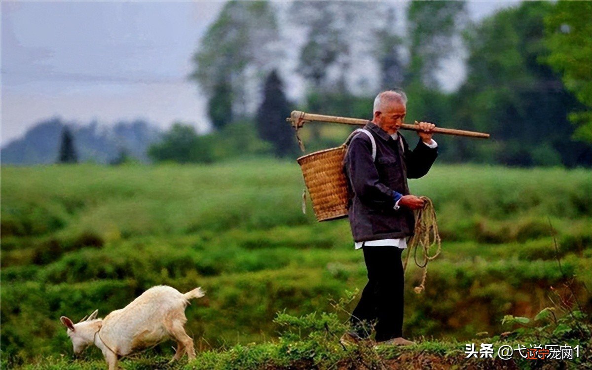 组图 慈世堂：房前望见坟墓有什么忌讳