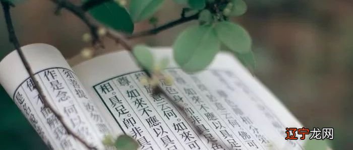 茶叶网风水堂：修习术数之目的与纠正动机