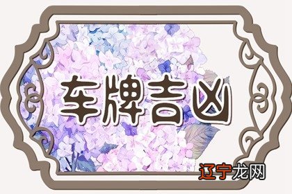 谢咏:中国易经风水师,怎样测算车牌号忌讳的字母和数字