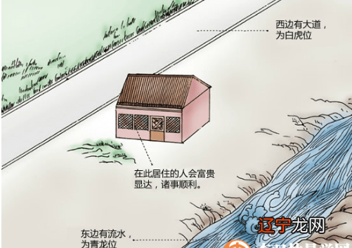 杨树的风水属性_风水学说属性_大班幼儿说课说学情