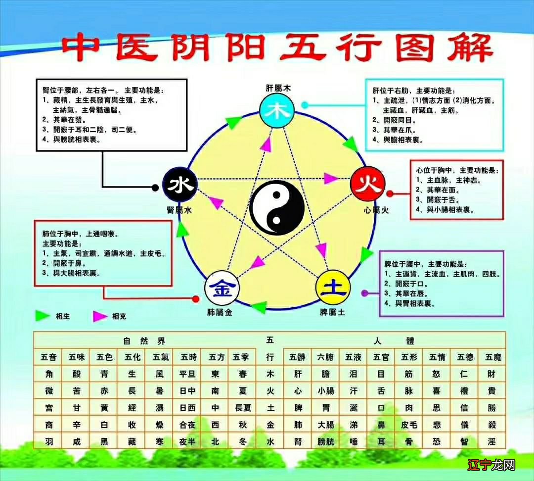心理咨询:五行学说现代应用农业医学五行现代
