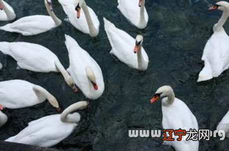 梦见自己在拉屎是什么意思?梦见家人是发财的预兆