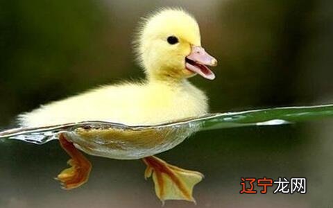 梦见自己在拉屎是什么意思?梦见家人是发财的预兆